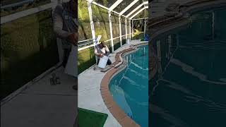 COPING BULL NOSEE SWIMMING POOL EDGES REPAIR BY PLATINUM PAVERS OF SWFL [upl. by Arundel]