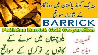 BARRICK Gold Mining Company Jobs  Gold Mines Comapnay Jobs  Cooper Mines Jobs  Pakistan Jobs Bank [upl. by Nayt]