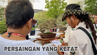 SANGAT KETAT PERSAINGAN BONSAI DI PAMNAS BADUNG BALI [upl. by Romain910]