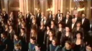 Hungarian Anthem  Hungarian and English subtitlempg [upl. by Zweig]