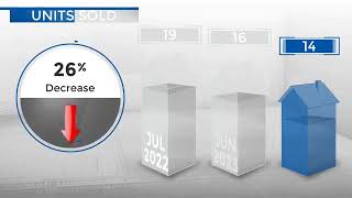 Lone TreeCO Real Estate Market Update from REMAX AllianceAugust 2023 [upl. by Larkins]