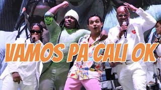 “Mucho Flow” Flowzzy Nos Vamos Para Cali Chola Caderona Salsa Caleña Salsa Choke [upl. by Yancey448]