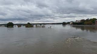 2592024 Hochwasser in FrankfurtOder und Slubice MichaelTomczak FrankfurtOder Hochwasser [upl. by Veda479]