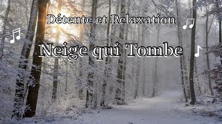 Chutes de Neige Détente et Relaxation Arbre sous la Neige Musique de Relaxation forêt enneigée [upl. by Kwabena640]