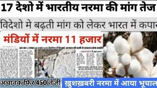 29 अक्टूबर 2024 नरमा कपास का भाव cotton bhav today कपास में तेजी बरकरार narma kapas ka bhav [upl. by Albina326]