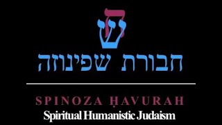 Spinoza Havurah  Nov 9 2024 Shabbat Morning  Parashah Lech Lecha [upl. by Fulvi]