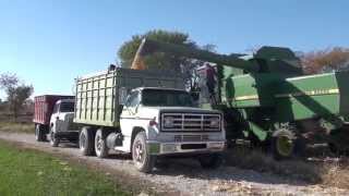 John Deere 7720 Titan II Combines Corn and Unloads into GMC Grain Truck [upl. by Wey]