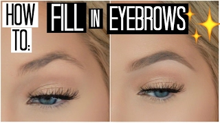 How to Fill in Your Eyebrows for Beginners  How to Shape your Eyebrows with Makeup [upl. by Soirtimid]