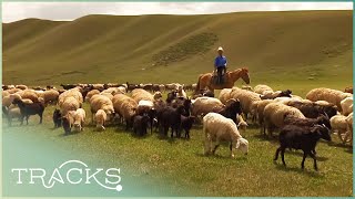 Kyrgyzstans Post Soviet Nomads Central Asia  Full Documentary [upl. by Asirrac]