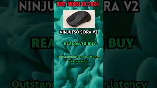 Ninjutso Sora V2  BEST MOUSE OF 2024 [upl. by Doe626]