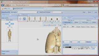 BodyParts3DAnatomography の使い方 〜操作編〜 [upl. by Lucic]