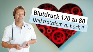 Blutdruck 120 zu 80  Und trotzdem zu hoch [upl. by Pinebrook926]