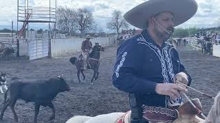 COLEADERO EN LIENZO CHARRO LOS TOCAYOS 3302024 STOCKTON CA [upl. by Raycher]