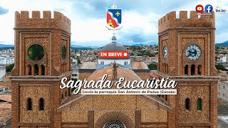 Sagrada eucaristía Viernes 4 de octubre 2024 600 pm [upl. by Maddox]