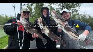 2024 puget sound lingcod fishingpt1 [upl. by Slinkman]