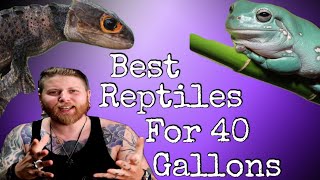 Top 5 Reptiles That Can Live In A 40 Gallon Set Up FOREVER [upl. by Haleemak]