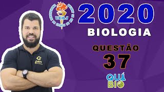 UERJ 2020  2o EQ  Questão 37  O axônio de algumas células nervosas é envolvido pela bainha de [upl. by Gabor]