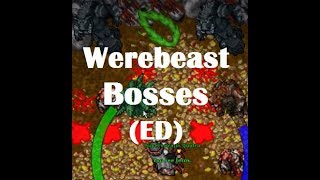 Tibia  Werebeast Bosses  Curse Spreads Last Mission with ED [upl. by Timothy853]