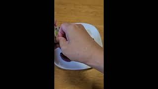 ASMR FILLING Platter With Konnyaku jelly and chocolate yummy cute asmrsounds enjoy viral [upl. by Ahsiemaj]