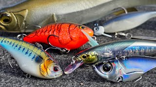 Top 5 Baits For February Bass Fishing [upl. by Kristopher]