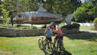 Cycle Trails Harrietville [upl. by Lejna]