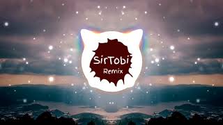 Die Flippers  Lotusblume SirTobi Remix [upl. by Analli]