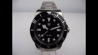 Watchdives WD1969 Pro Pelagos 39 Homage 4K Watch Review [upl. by Uranie]