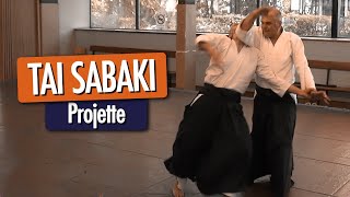 TAI SABAKI  Projette Aikido Iwama [upl. by Ahsekram]