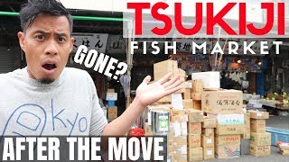 What NEW Tokyo Tsukiji Fish Market is like AFTER Toyosu MOVE  Street Food Gone [upl. by Caia]