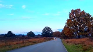 Dashcam timelapse in de herfst over de Sallandse Heuvelrug in Overijssel [upl. by Anipsed]