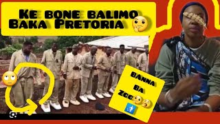 KE BONE BALIMO PRETORIA😭😭 BALIMO BANA LE MATLA [upl. by Fremont]