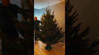 Father brought a Christmas Tree for the Children 😍😱 christmas tree trending shortvideo [upl. by Icats]