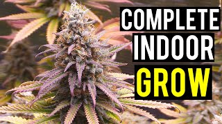 Seed To Harvest A Complete Indoor Cannabis Grow [upl. by Thedrick]