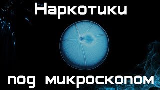 Наркотические вещества под микроскопом [upl. by Emirac]