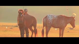 Mongolian traditional practices of worshipping the sacred sites [upl. by Abbub]