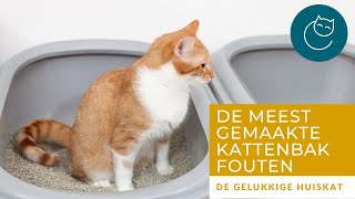 DE MEEST GEMAAKTE FOUTEN MET DE KATTENBAK [upl. by Charita]