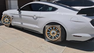 THESE WHEELS TOTALLY CHANGE THE LOOK OF YOUR MUSTANG rtr [upl. by Bartlet820]