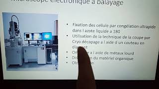 Biologie cellulaire chapitre 2 la membrane plasmique [upl. by Kelbee]