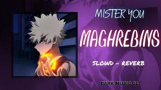 MISTER YOU  MAGHREBINS  SLOWD  REVERB DARKMUSIC01 [upl. by Fessuoy]