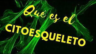 ¿QUÉ ES EL CITOESQUELETO [upl. by Wetzel]