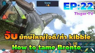 Ark Mobile EP22 จับยักษ์ใหญ่ใจดี Brontoทำ kibble Tisgar TV [upl. by Mello]