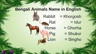 Learn Bengali Animals Name in English By RASELraju Institute [upl. by Wehner537]