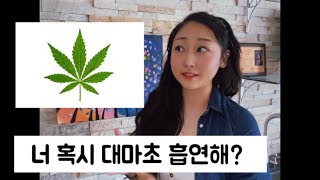 마약 💊 과 캐나다 🇨🇦 학교 feat 대마초 🌿 [upl. by Acilejna]