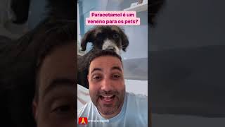 Paracetamol é um veneno para os pets [upl. by Bosch]