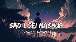 Sad 😔LOFI Songs SLOWEDREVERB  2024 Lofi  New hindi Songs  ‎tseries lofi​ song​ viral​ [upl. by Essiralc]