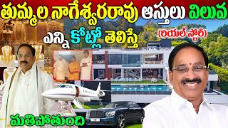 Thummala Nageswara Rao Biography తుమ్మ‌ల నాగేశ్వ‌ర‌రావు బ‌యోగ్ర‌ఫీThummala Nageswara Rao Realstory [upl. by Ardehs]