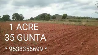 Nz 1 ACRE 35 GUNTA  FEEL THE FREEDOM WITH FARM LANDS  TAR ROAD APPROACH  RED SOIL  9538356699 [upl. by Roda]