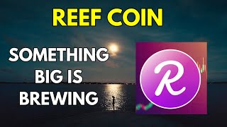 REEF COIN Price News Today Technical Analysis and Price Prediction [upl. by Sorenson]