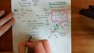 Receptor Tyrosine Kinases Part 5 [upl. by Enyluqcaj587]