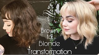 Brown to Blonde Hair Transformation  One Day [upl. by Aicen]